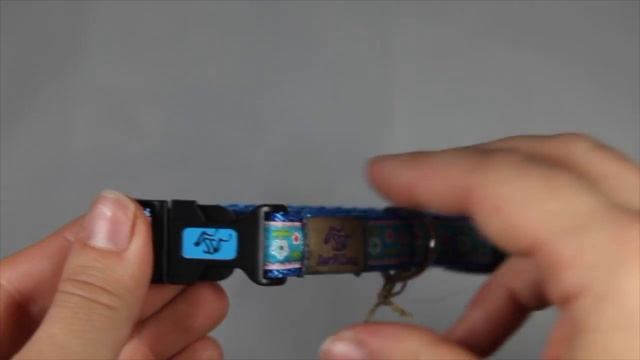 Ошейник Daisy blue 16 мм смотреть онлайн