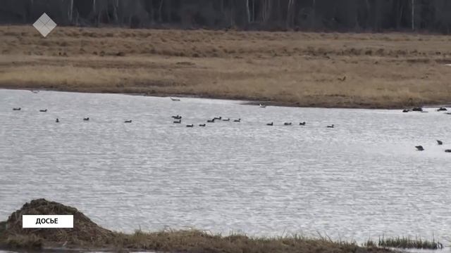 «Саха сирэ» информационнай биэрии. Бэс ыйа 23 күнэ, 20:30 ч смотреть онлайн