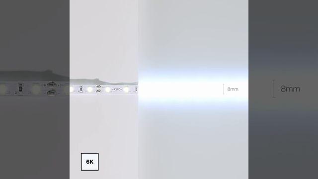 LED лента Maytoni Светодиодная лента 24В 20015 смотреть онлайн