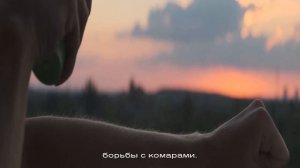 Почему коморы пьют кровь