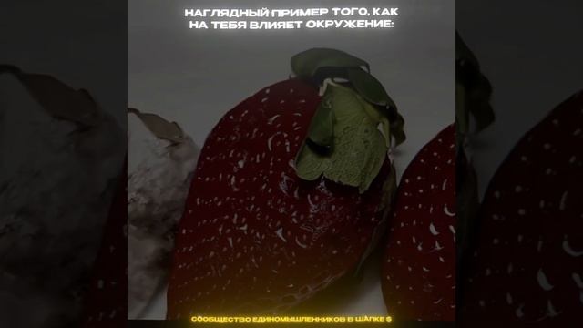 – уберу ссылку в профиле через 24 часа ⌛ #shorts #успех #де? смотреть онлайн