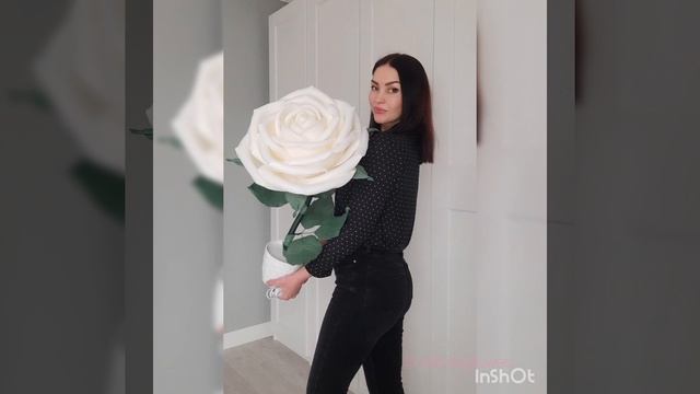 Роза Светильник🌹🌿#розы #светильник #красота #уютный? смотреть онлайн