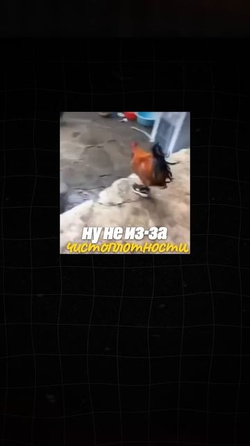 Инструкция по созданию интернет-бизнеса + поставщик в смотреть онлайн