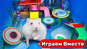 Лабиринт для хомяка 🐹 Умный Хомяк проходит водный лабиринт 🐹 Видео для детей