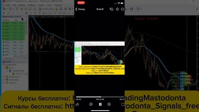 Курс от Владислав Вагнер 2025 | Wladislav.Com курс новый | Русск смотреть онлайн