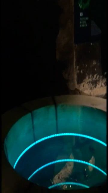 Бездонный колодец #экспозиция#выставка#санктпетербур смотреть онлайн