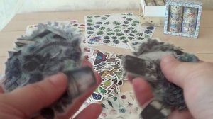 НОВЫЕ НАКЛЕЙКИ. ПОКУПКИ.