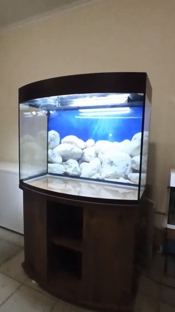 аквариум 220 свет биофильтр встроенный в крышку фон под смотреть онлайн