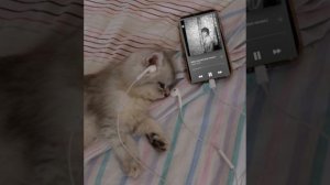 рок-острова- нечего не говори | speed up