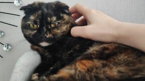 Тискала бы и тискала🥰