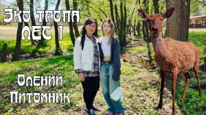 Эко тропа ЛЕС 1 Олений Питомник