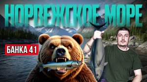 Норвежское Море | Банка 41 | РР4