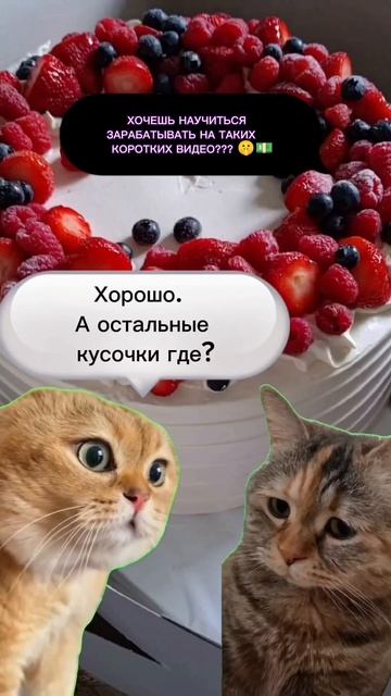 #Новаяжизнь #работа #вперед #начнисегодня#подработка#м