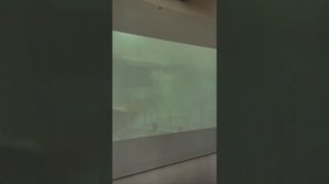 Мероприятие приуроченное ко Дню памяти и скорби в Чеченской Республике