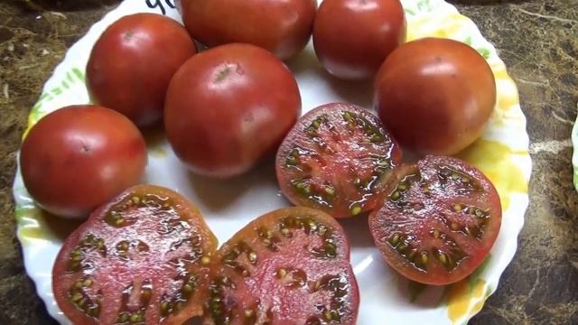 Новинки Томатных Гномов. Гном Специальный. Дегустация.