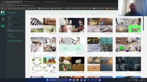 ВИДЕОСТОКИ - Что продается в 2025? ГЛАВНЫЕ ТРЕНДЫ / MicrostockP