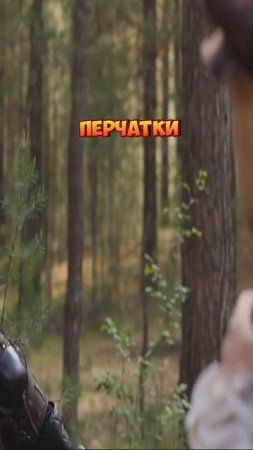 Что делать с летучей мышью