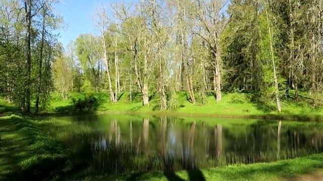 Майское утро в Тригорском