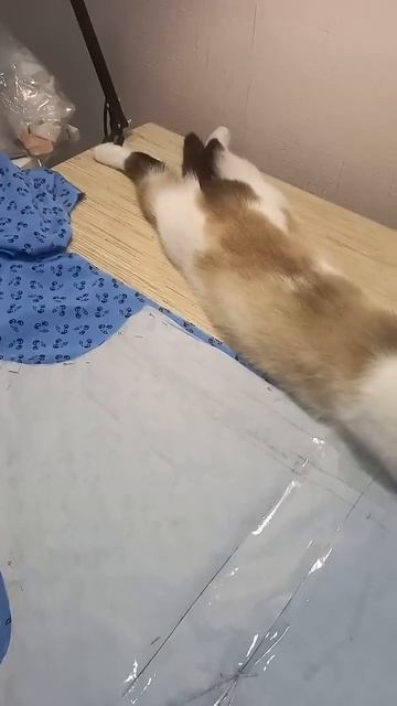 Помогает мне кроить и шить смотреть онлайн