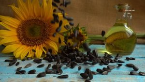 🌻 Подсолнухи: Удивительные факты о солнечных цветах ?
