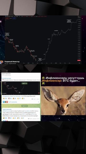Разумный инвестор и альтсезон. Прогноз. #криптовалюта смотреть онлайн