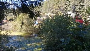 Чистка пожарного водоёма