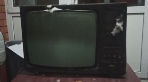 Сколько можно заработать на телевизоре ВЭЛС 50тб-306, если разобрать его и сдать в приемку.