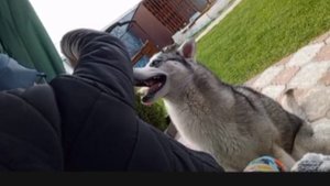 VLOG😝♥️мини влог как мы с Евой в гостях💓🩷РЕБОРН 😎приятного просмотра 🤍