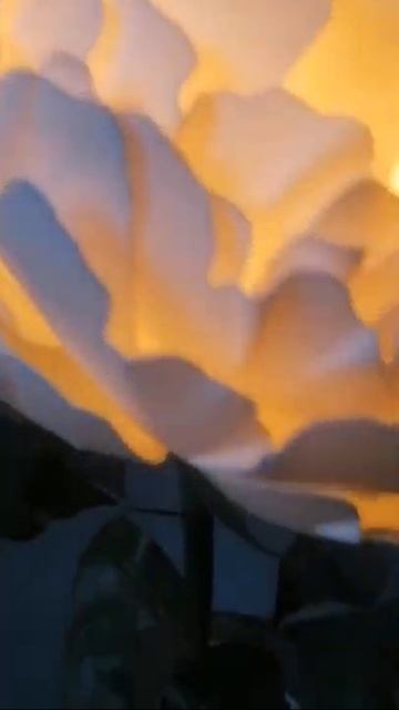 настольный светильник пион смотреть онлайн