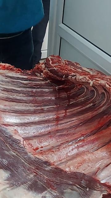 ПОЛУЧИЛИ ШИКАРНУЮ ГОВЯДИНУ 🐃🥩🪓😎👍 ТОПОР МЯСНИКА ? смотреть онлайн