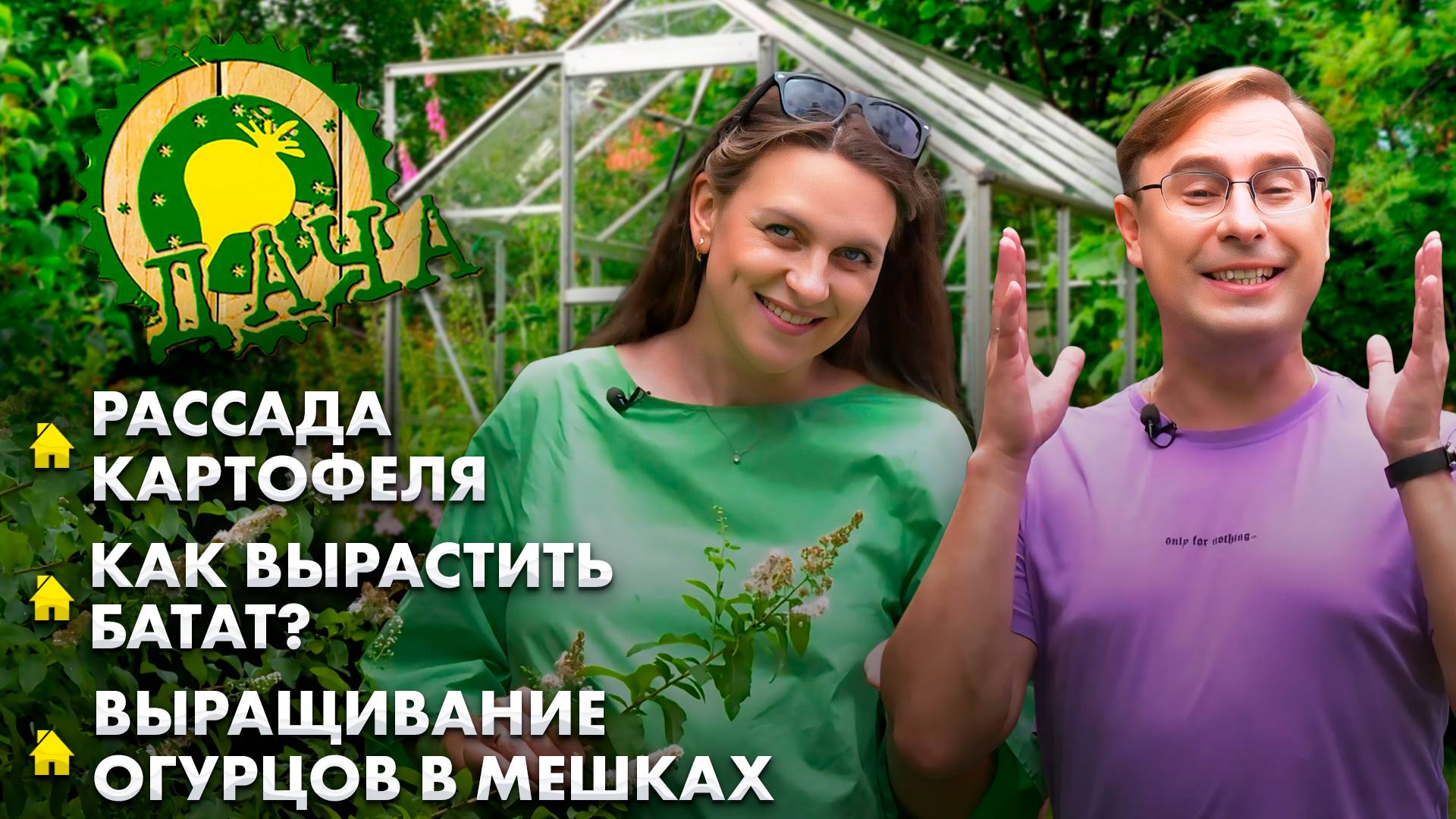 Рассада картофеля | Как вырастить батат? | Урожай мечты на даче легко и просто! Дача