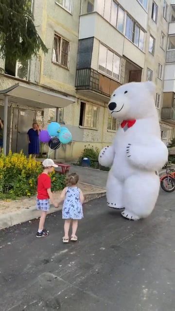 #смоленск #пушистыймишаня #деньрождения смотреть онлайн