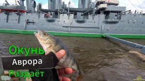СТРИТФИШИНГ-ПРОБЕГ ПО ЛОКАЦИЯМ ЗАЯЧИЙ ОСТРОВ КРЕЙСЕР АВРОРА С РЫБАЛКОЙ НА #окуня #ОТВОДНОЙ ПОВОДОК