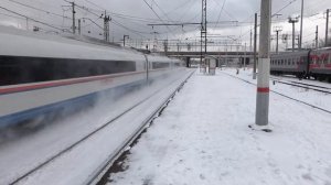 Сапсан зимой.