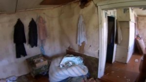 ТЕПЕРЬ В ДОМАХ ЖИВУТ ЛОСИ. ВСТРЕЧА С НИМИ. ЗАБРОШЕННАЯ ДЕРЕВНЯ В ЛЕСУ. ЯРОСЛАВСКАЯ ОБЛАСТЬ.