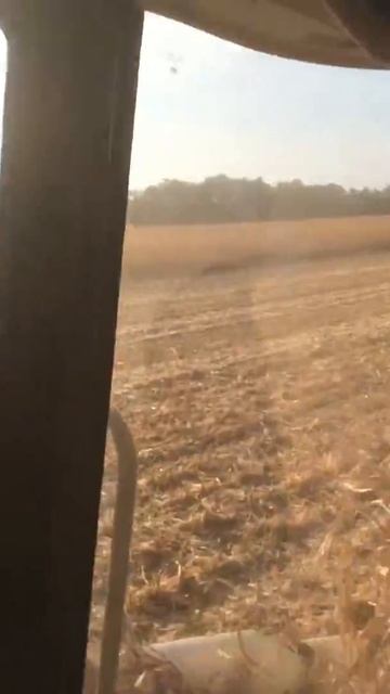 Уборка кукурузы 2015 дкс 4014 смотреть онлайн