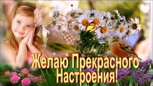 Желаю Прекрасного Настроения! Музыкальная Открытка с Пожеланием и Красивая Песня!