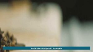 Ешь 2 бутона гвоздики в день и ты увидишь результат