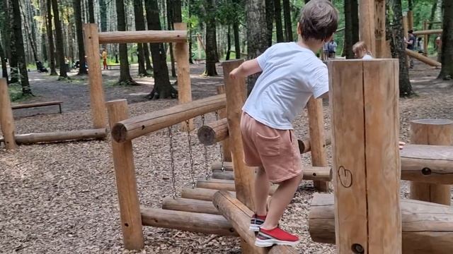 Илья в Говоровском лесу - 6. смотреть онлайн