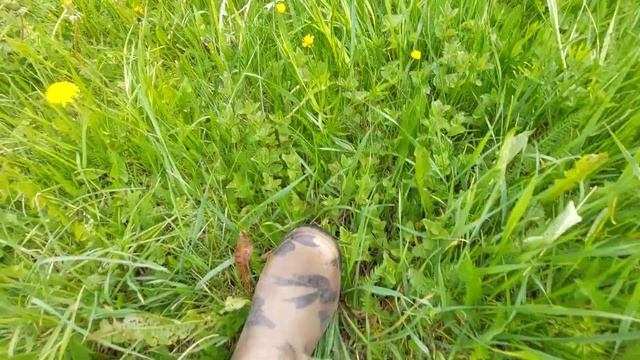 🌻ASMR The magic of flowers| АСМР магия цветов...🌻🐝