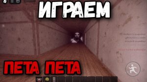 играем в Пета Пета с Никитой