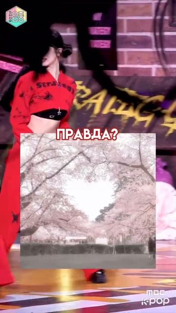 Исключение для фанатки!! #актив #kpop #пустьзалетит #music #з смотреть онлайн