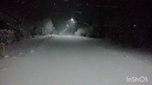 Мы с собакой одни во Вселенной