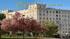 ЦВЕТУЩАЯ МОСКВА. АПРЕЛЬ 2025
