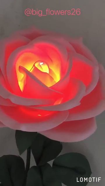 Роза-светильник из изолона смотреть онлайн