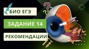 БИО ЕГЭ | Задание 14. Рекомендации