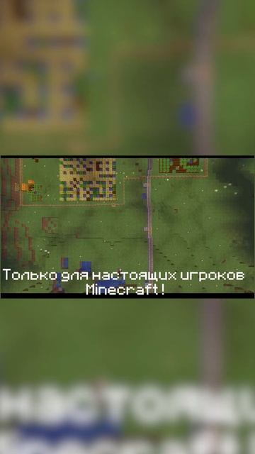 Политический Сервер В Minecraft ! #minecraft #сервермайнкрафт #shorts #политическийсервер