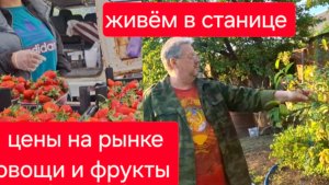 471 Купили дом в станице. Зачем нам всё Это? Цены на рынке на юге.