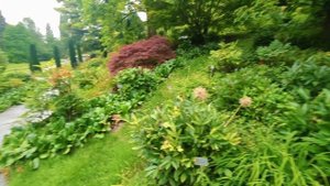 садовые КОМНАТЫ - принципы зонирование УЧАСТКА - остро