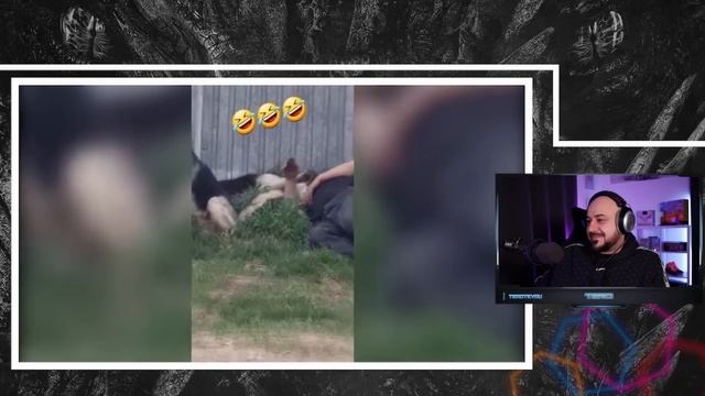 💎 Реакция на Meanwhile in .... a Normal Day. #22 | Лучшие моменты стрима💎 смотреть онлайн